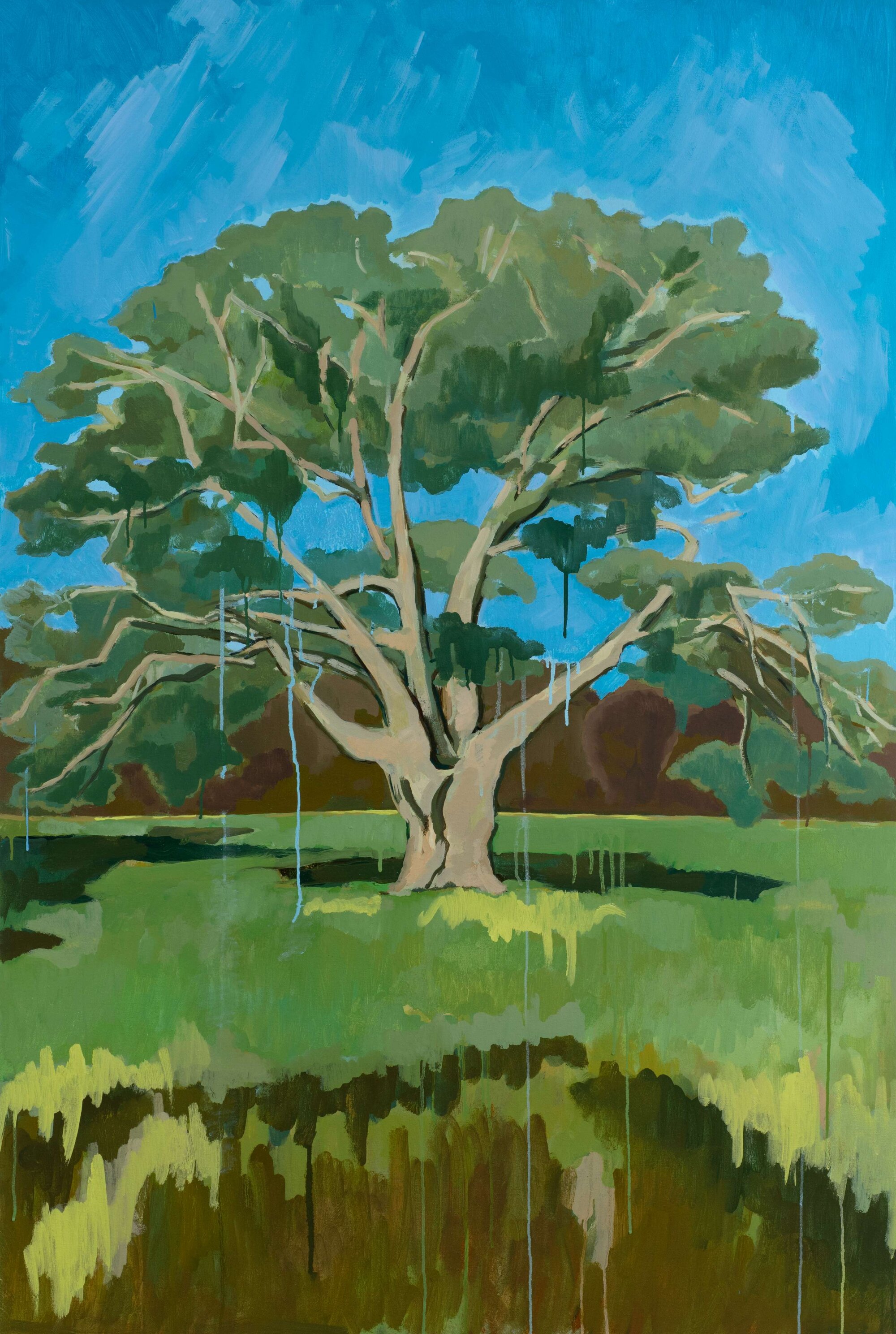 The Wick Culture - The Lucombe Oak, (Warwickshire), 2026, 100 x 150cm, Oil on Canvas